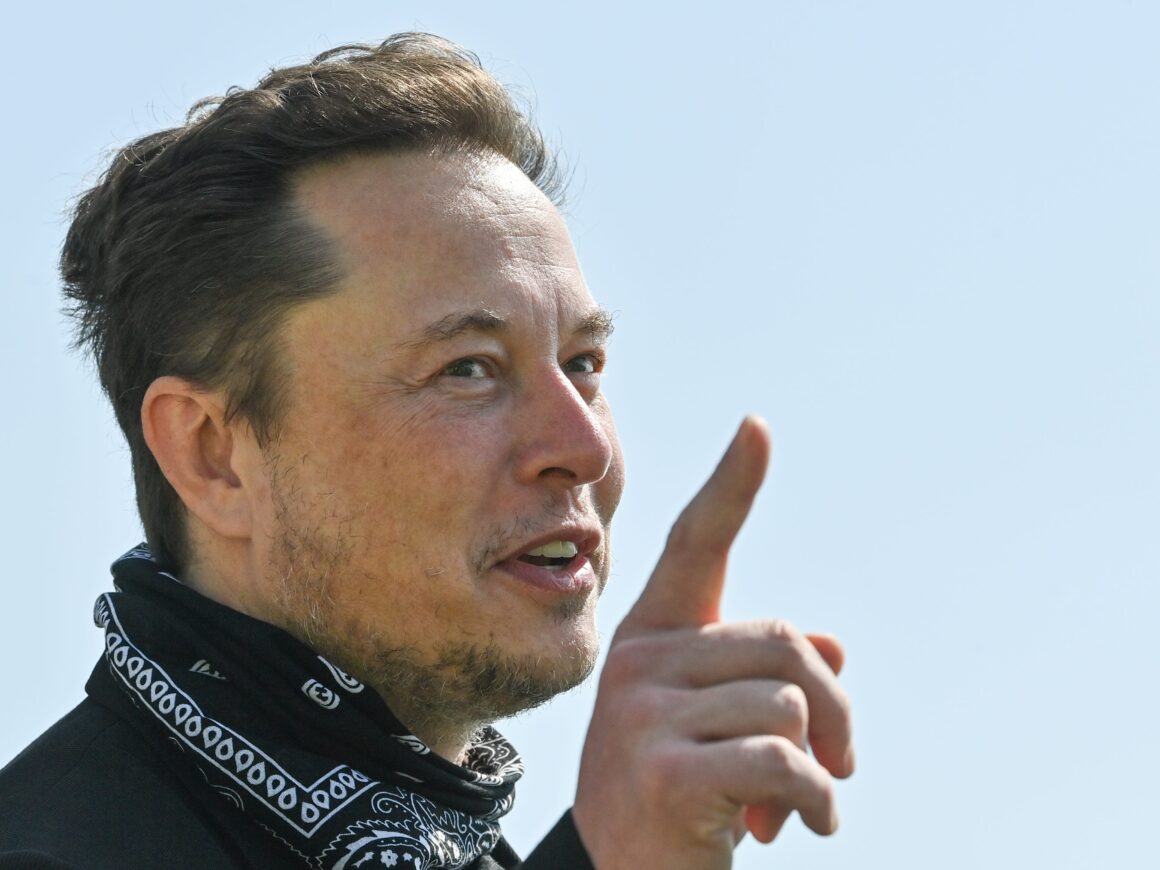 Elon Musk says Twitter introducing NFT profile pictures is 'annoying'