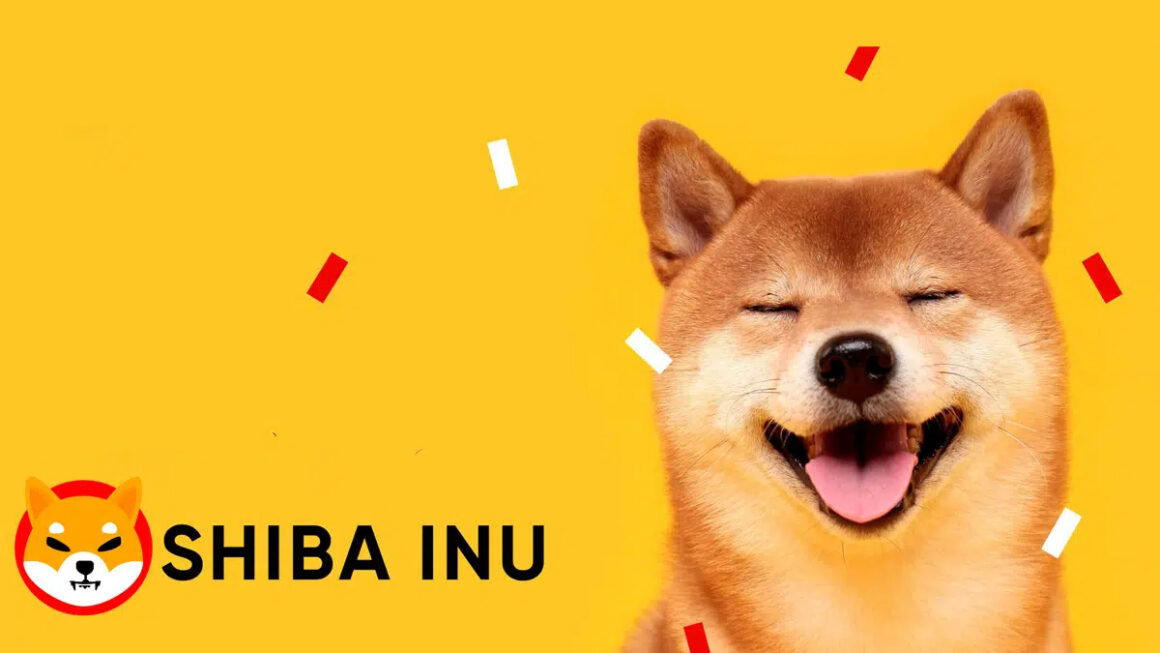 How many exchanges have Shiba Inu on their lists?