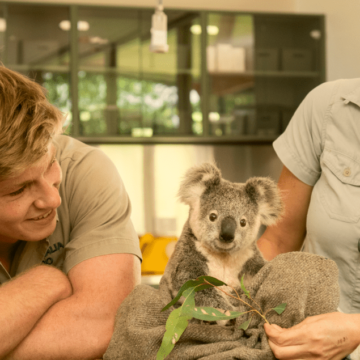 Australia Zoo announces first NFT Wildlife Warriors