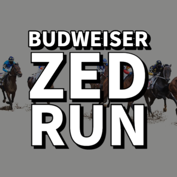 Budweiser x Zed Run The Official stable of the Budverse