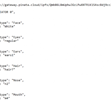 NFT Metadata Example, Standards and Format | NFT JSON Metadata