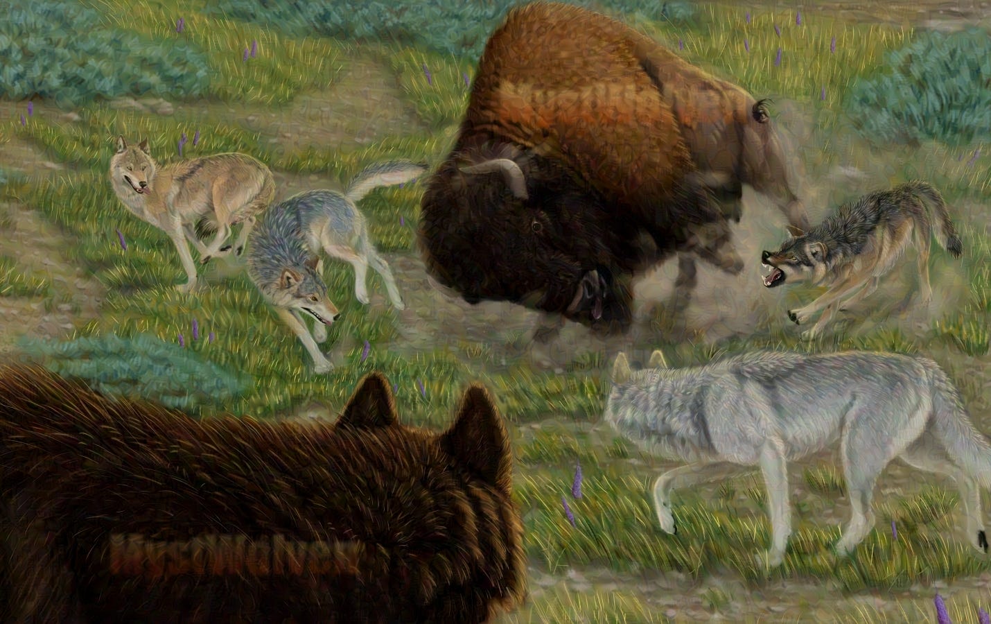 A Glazed version of a scene featuring bison and wolves by Autumn Beverly.