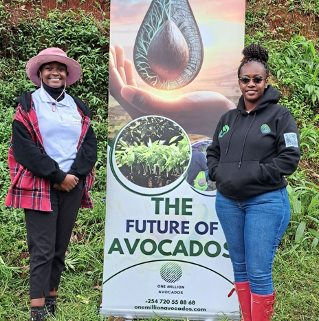 NFTs are used to represent unique avocado trees