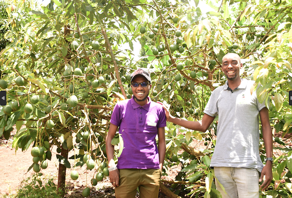 Real life yield farming is actually making people happy in Africa