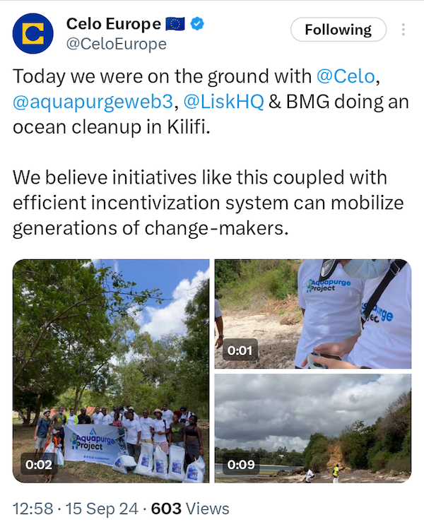 The Bigger Picture - Community Impact. Blockchain environmental cleanup